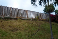 fenced-yrdP1000536